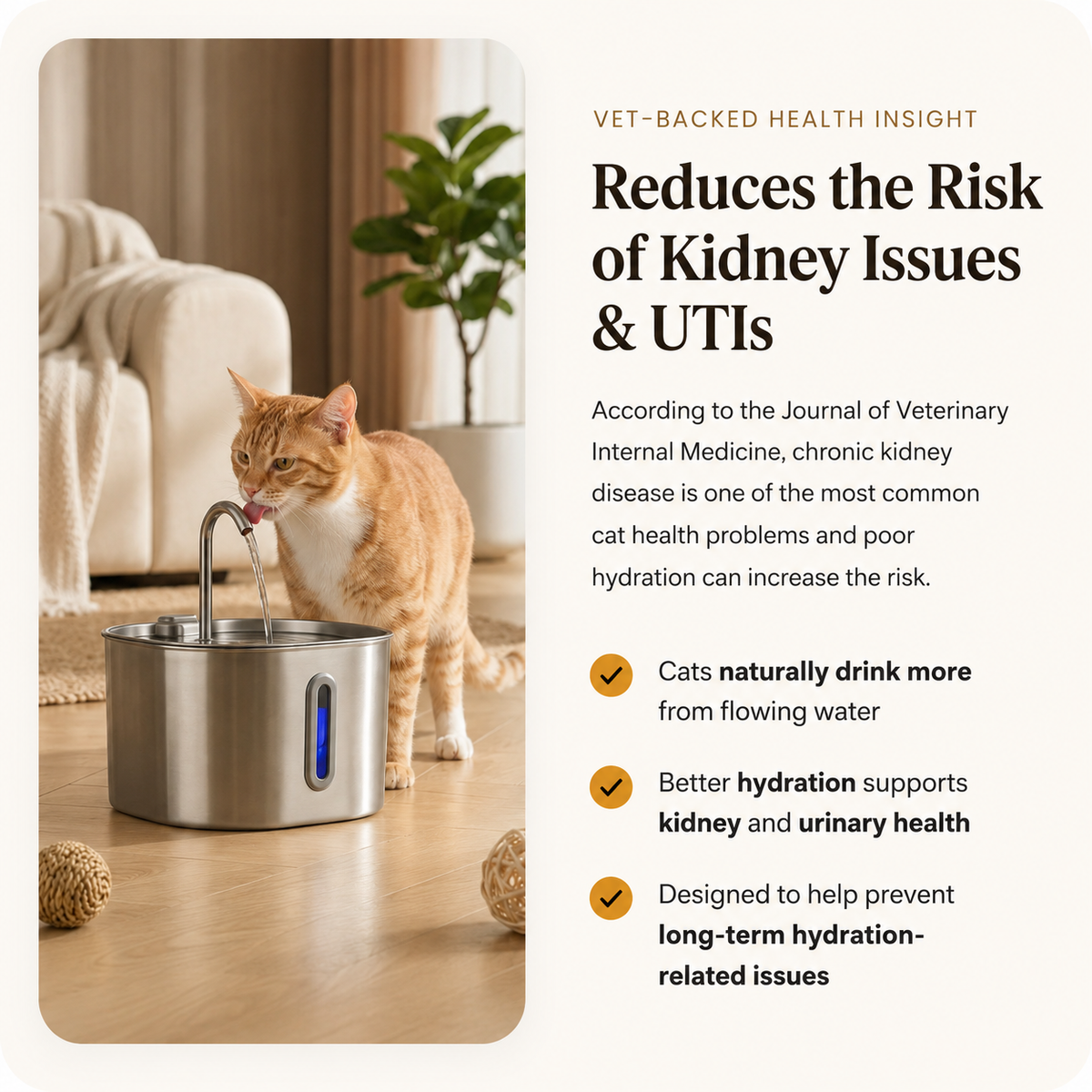 Mistym® Kidney Health and Hydration Cat Fountain