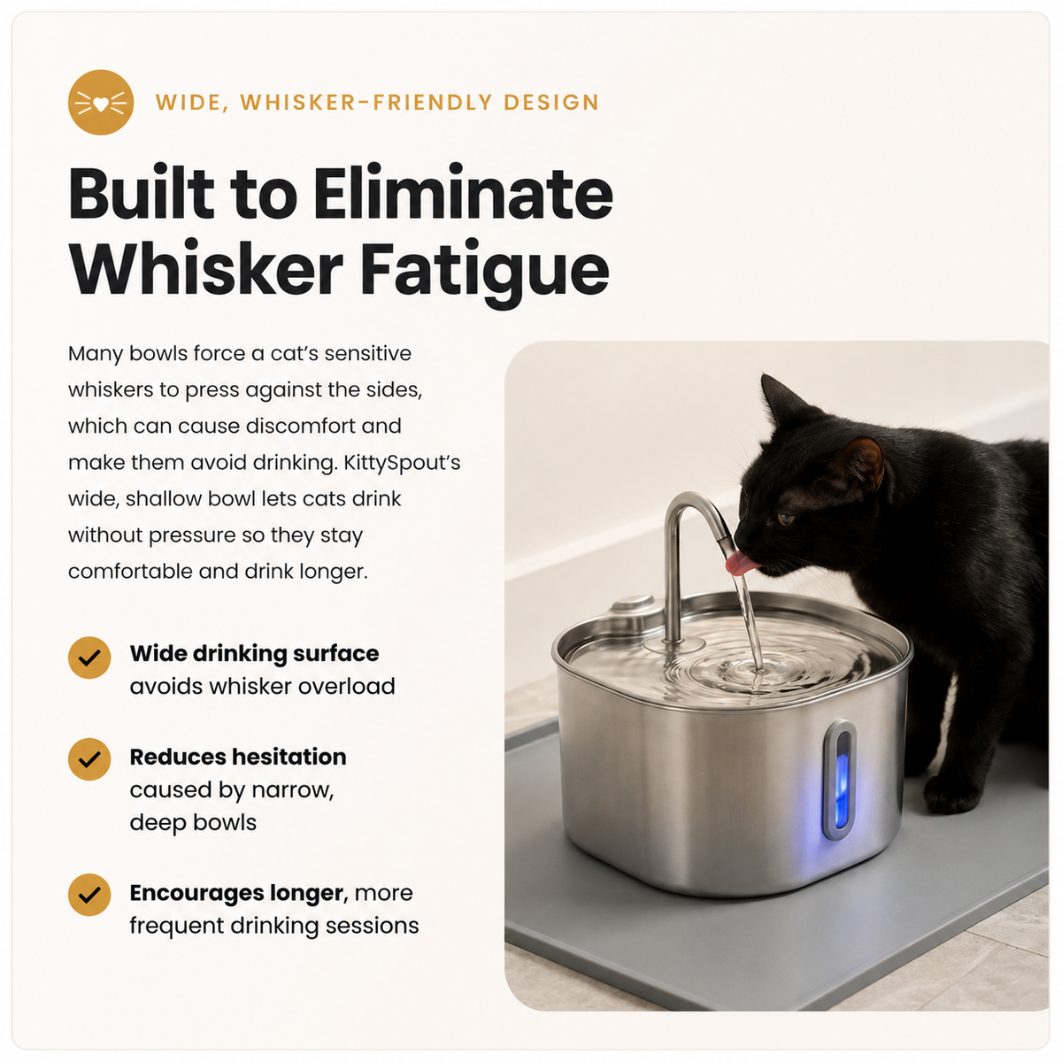 Mistym® Kidney Health and Hydration Cat Fountain